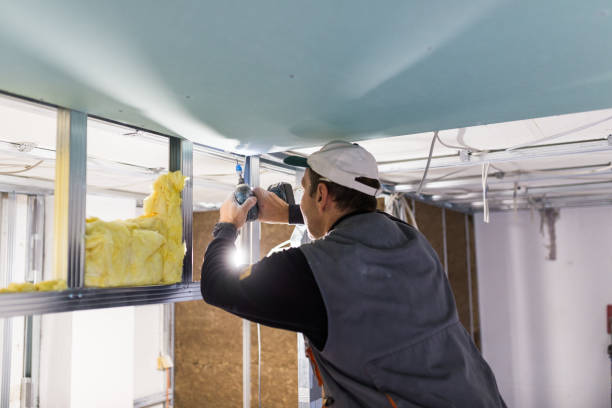 Best Insulation Maintenance and Repair in Idylwood, VA
