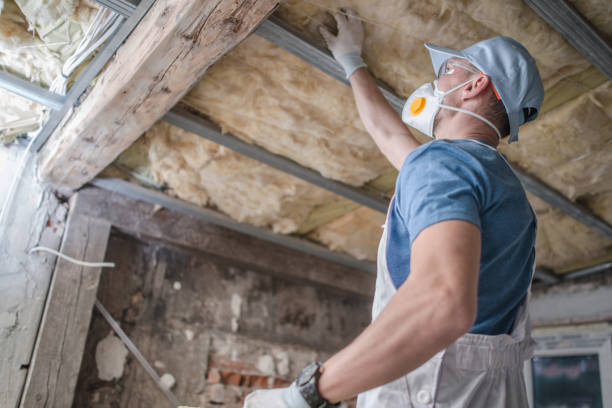Best Eco-Friendly Insulation in Idylwood, VA