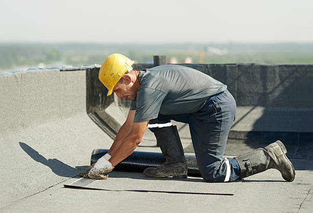 Best Cellulose Insulation in Idylwood, VA